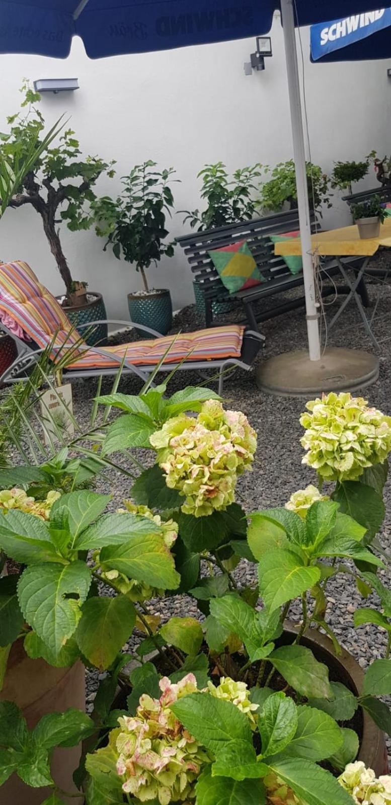 Hotel Adriana 아샤펜부르크 외부 사진
